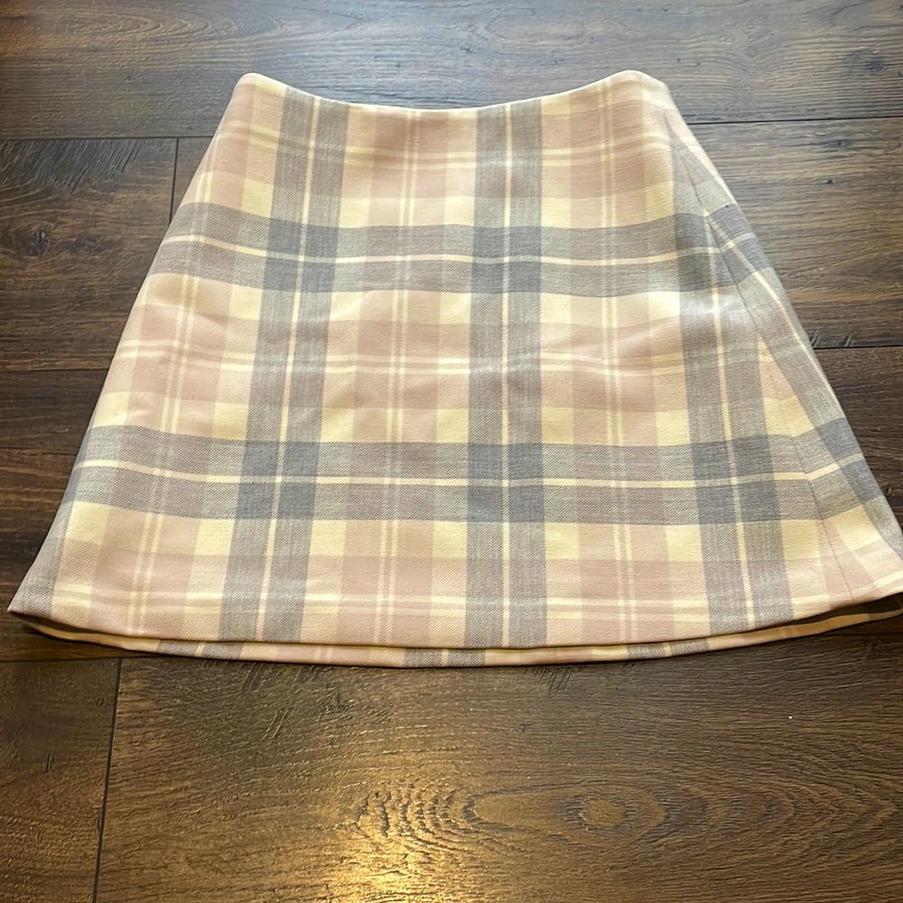 Aritzia mini skirt